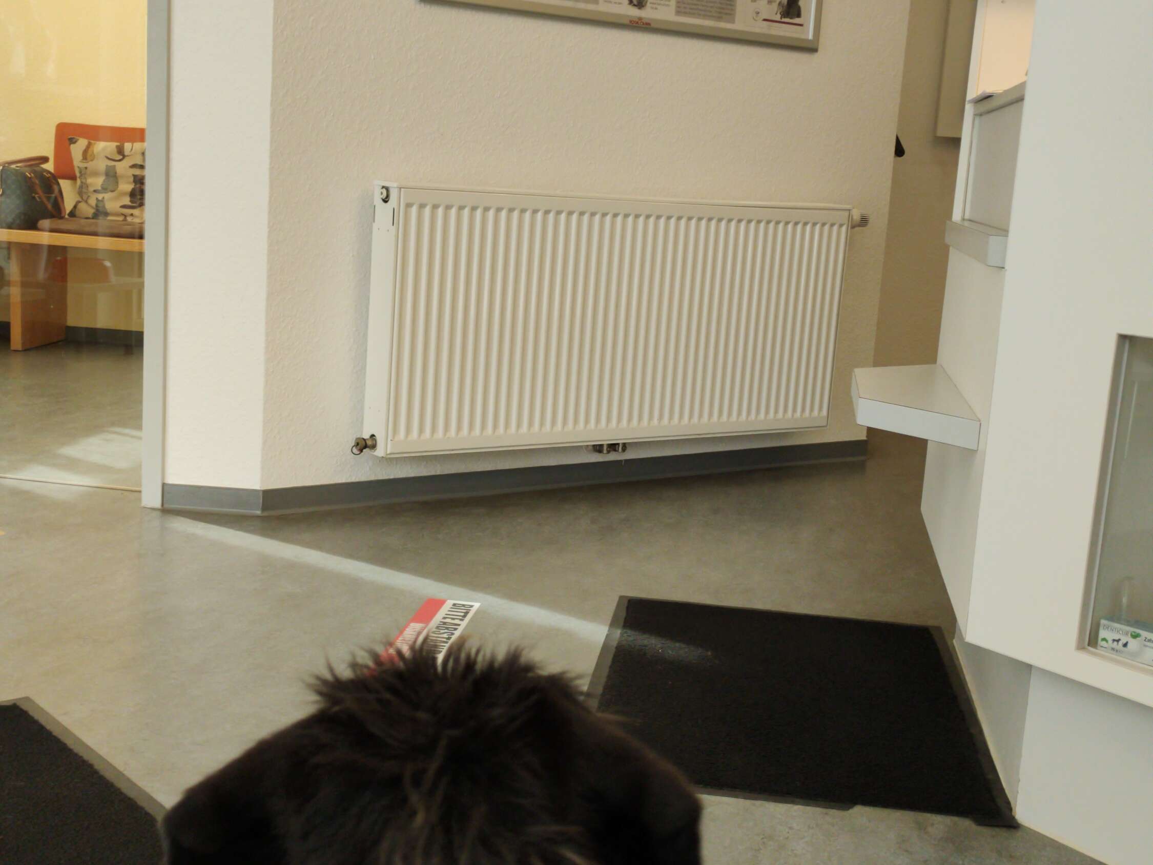 Ansicht 2 von Tierärztliche Praxis für Kleintiere Sundern GmbH