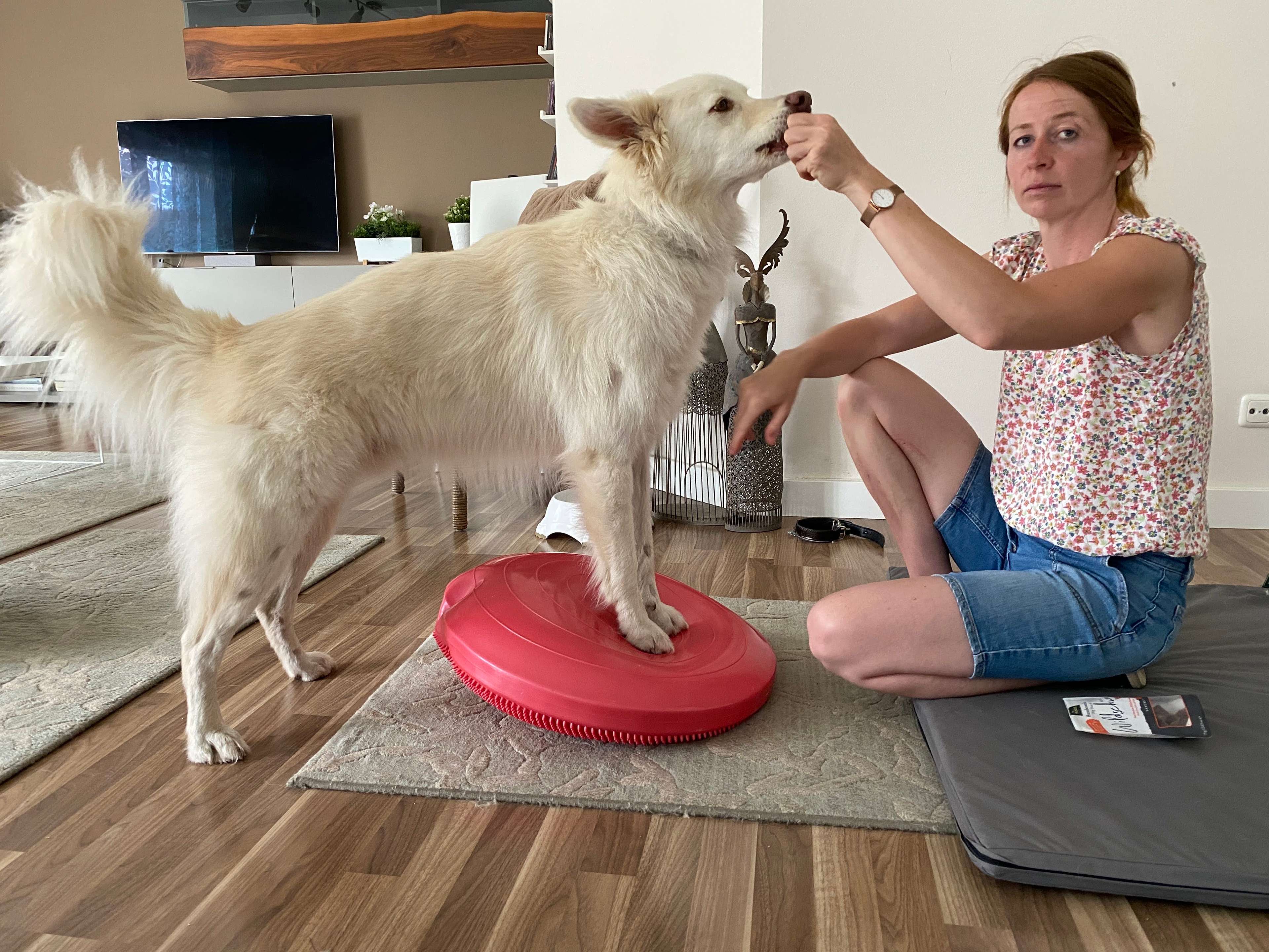 Ansicht 2 von Tierphysiotherapie Susan Diezemann