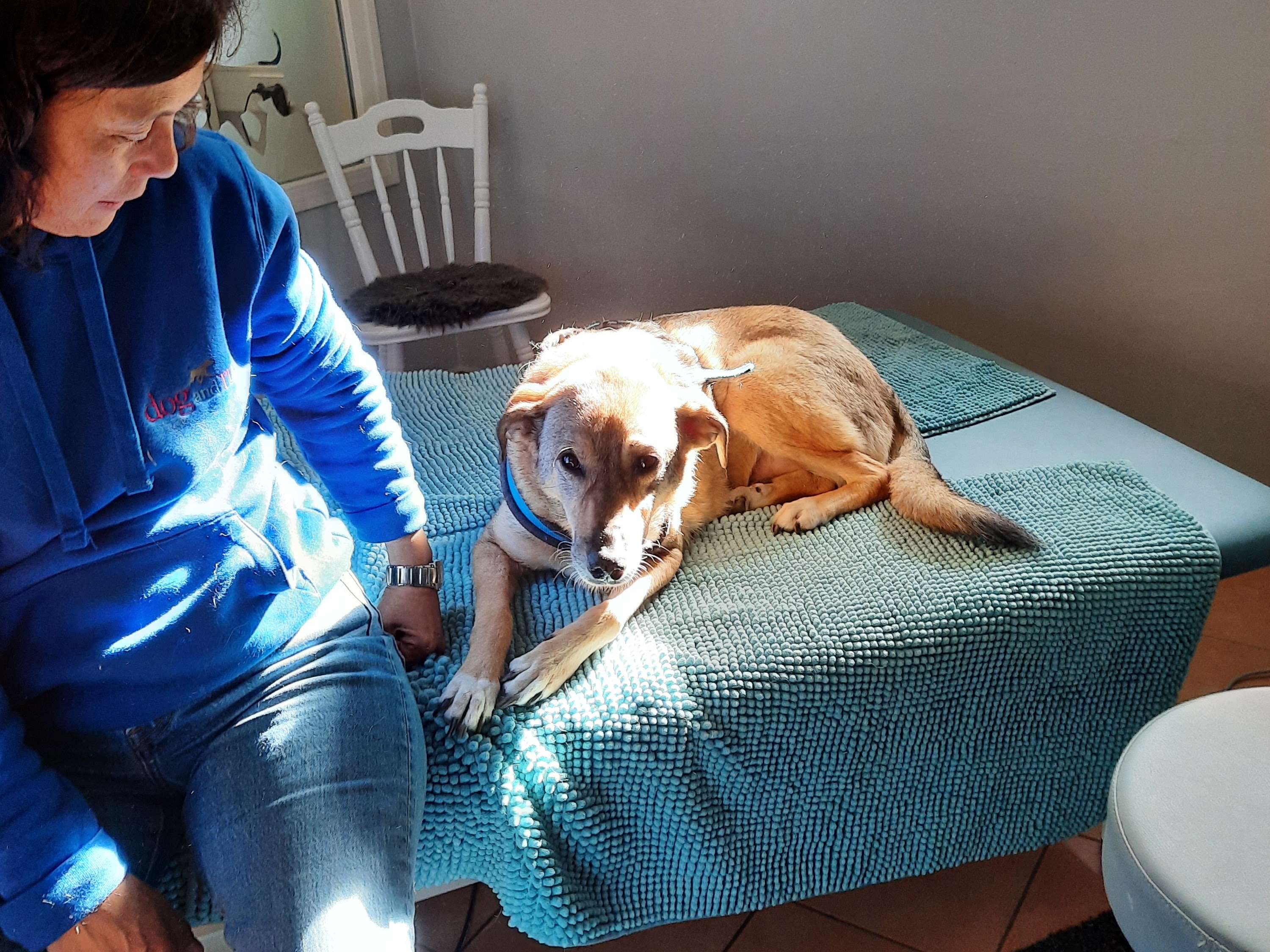 View 1 of dogandrun Tierphysiotherapie - Marie-Christine Teichert