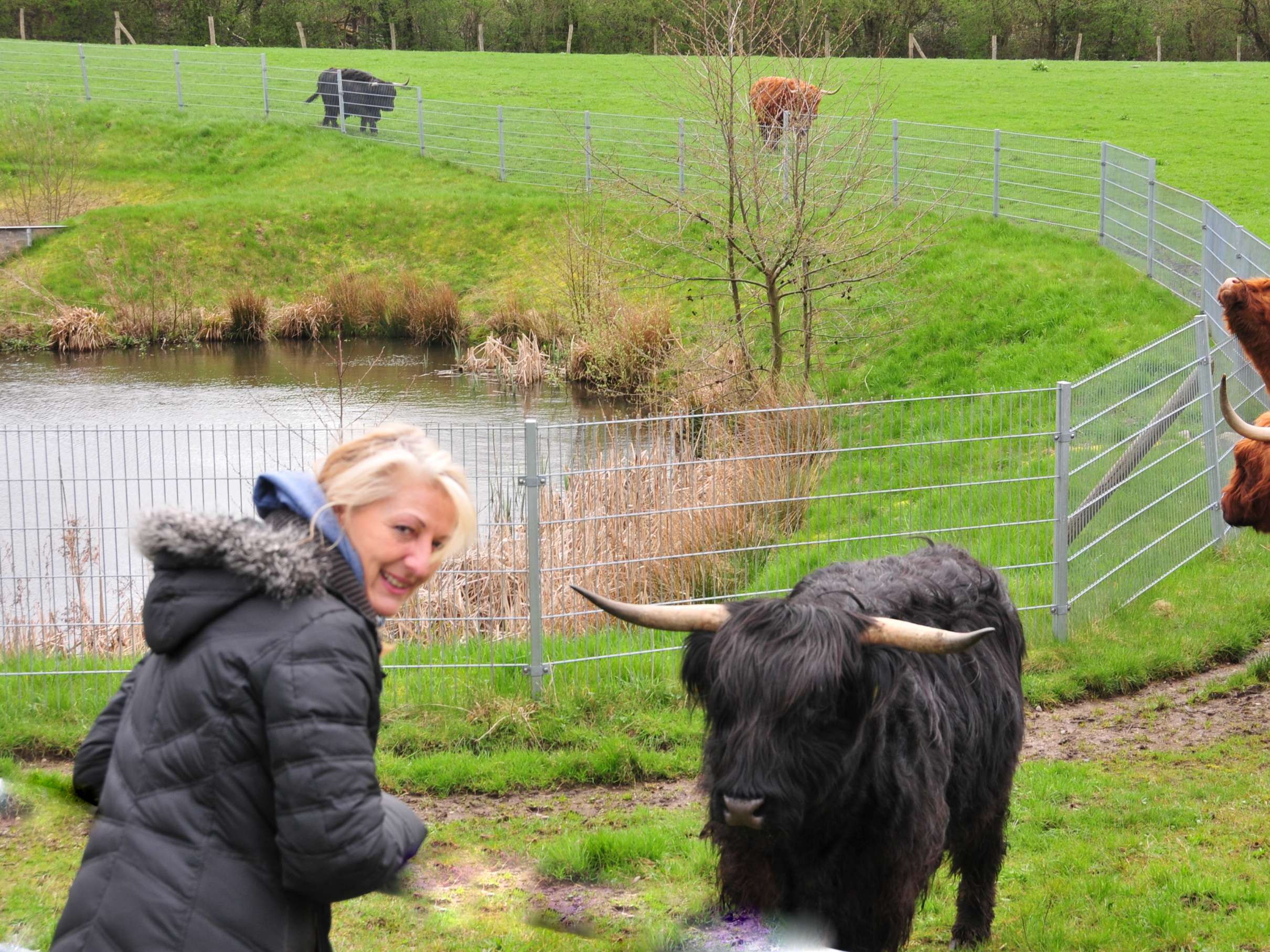 Ansicht 3 von Tierheilpraxis Plön Ute Lundius