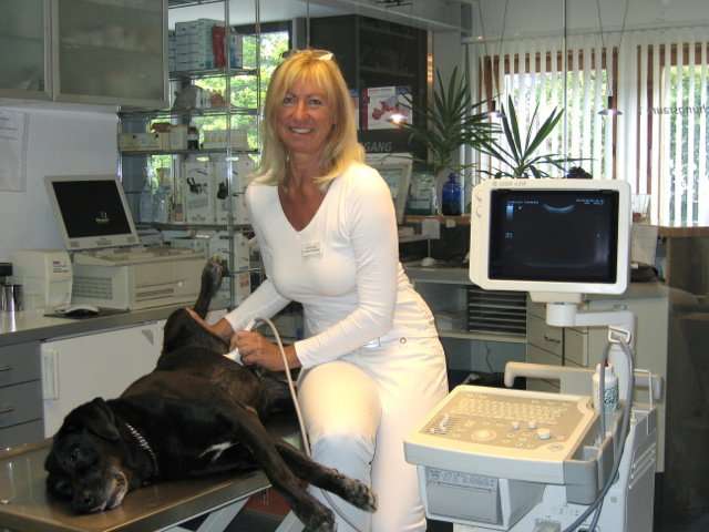 Ansicht 1 von Tierklinik Dr Sylvia u Dr Rudolf Tschabrun