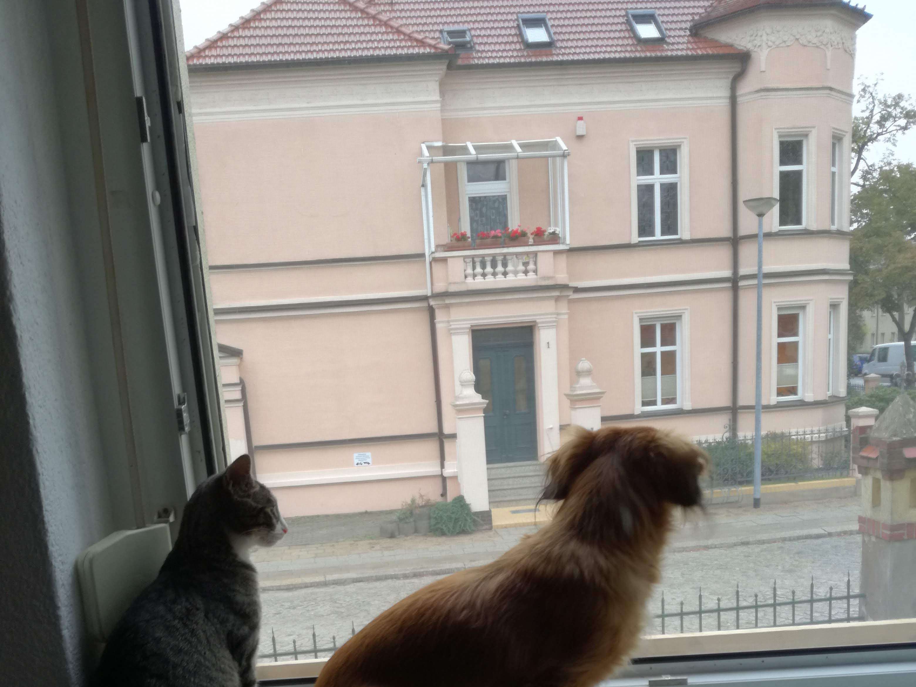 Ansicht 3 von Tierarztpraxis am Bussardweg
