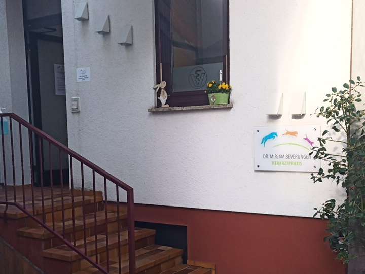 Ansicht 1 von Tierarztpraxis Dr. Mirjam Beverungen