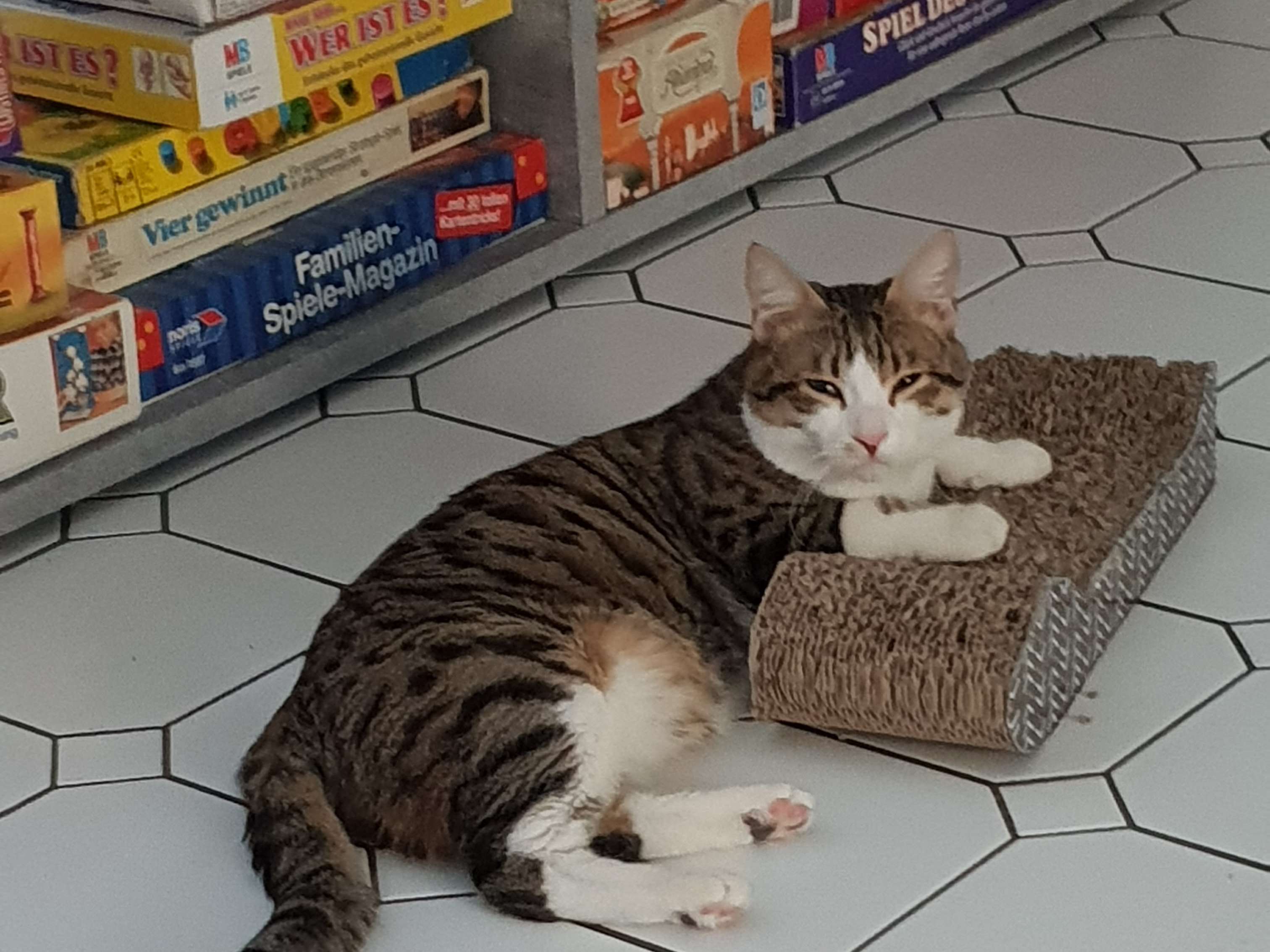 Ansicht 2 von Hilbich Dirk Dr.med.vet.