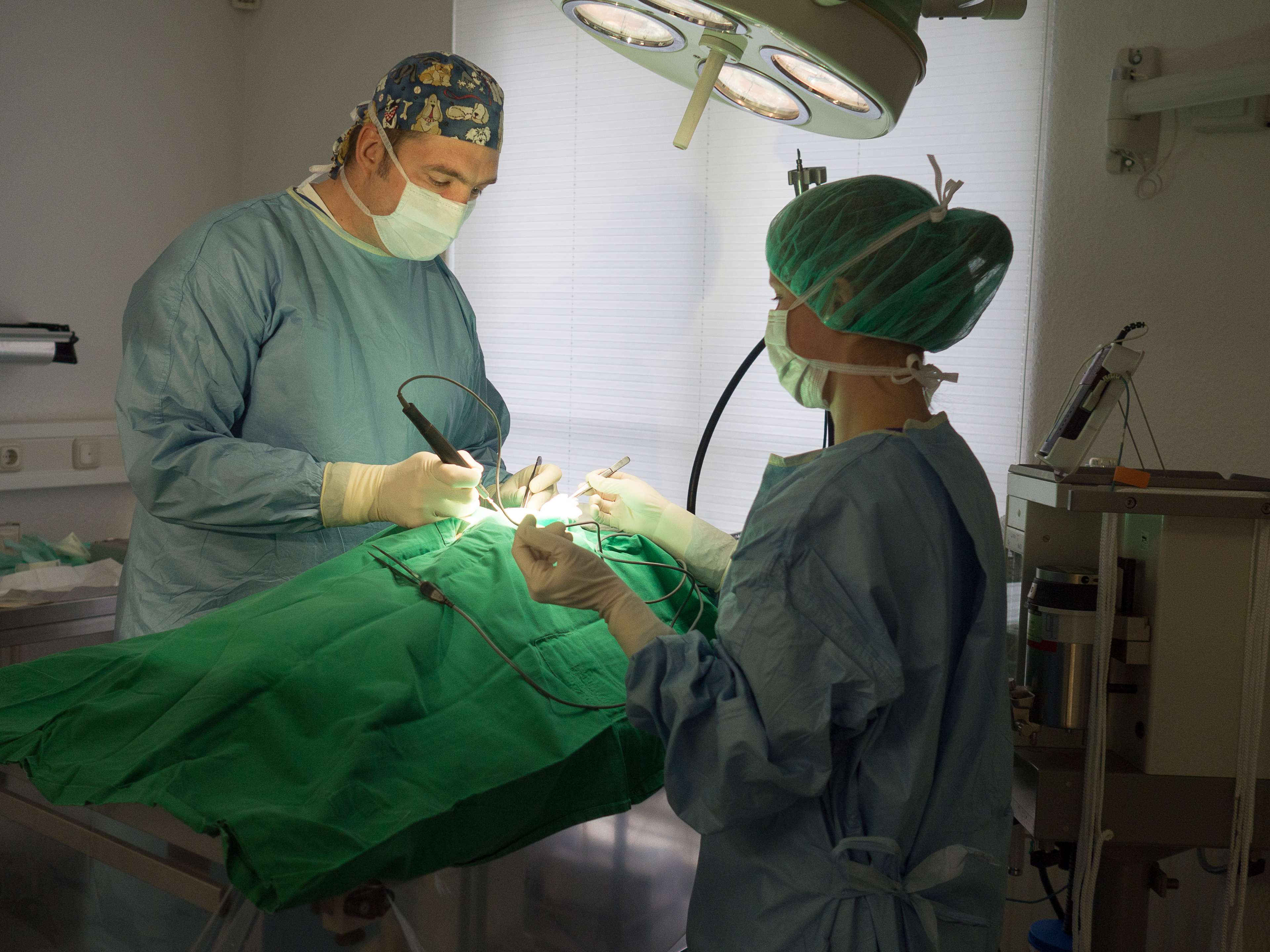 Ansicht 3 von Dr. Wolfdieter Stammwitz