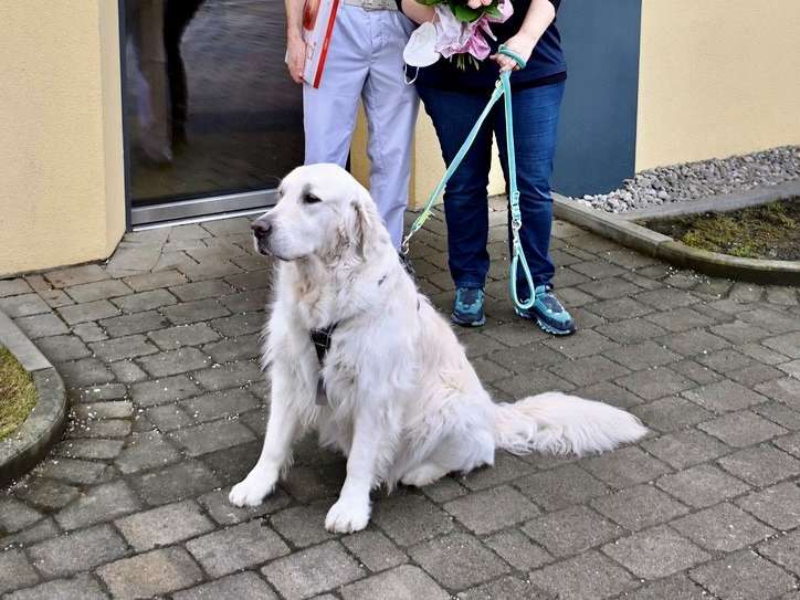 Ansicht 3 von Aigner Christian Dr.med.vet.
