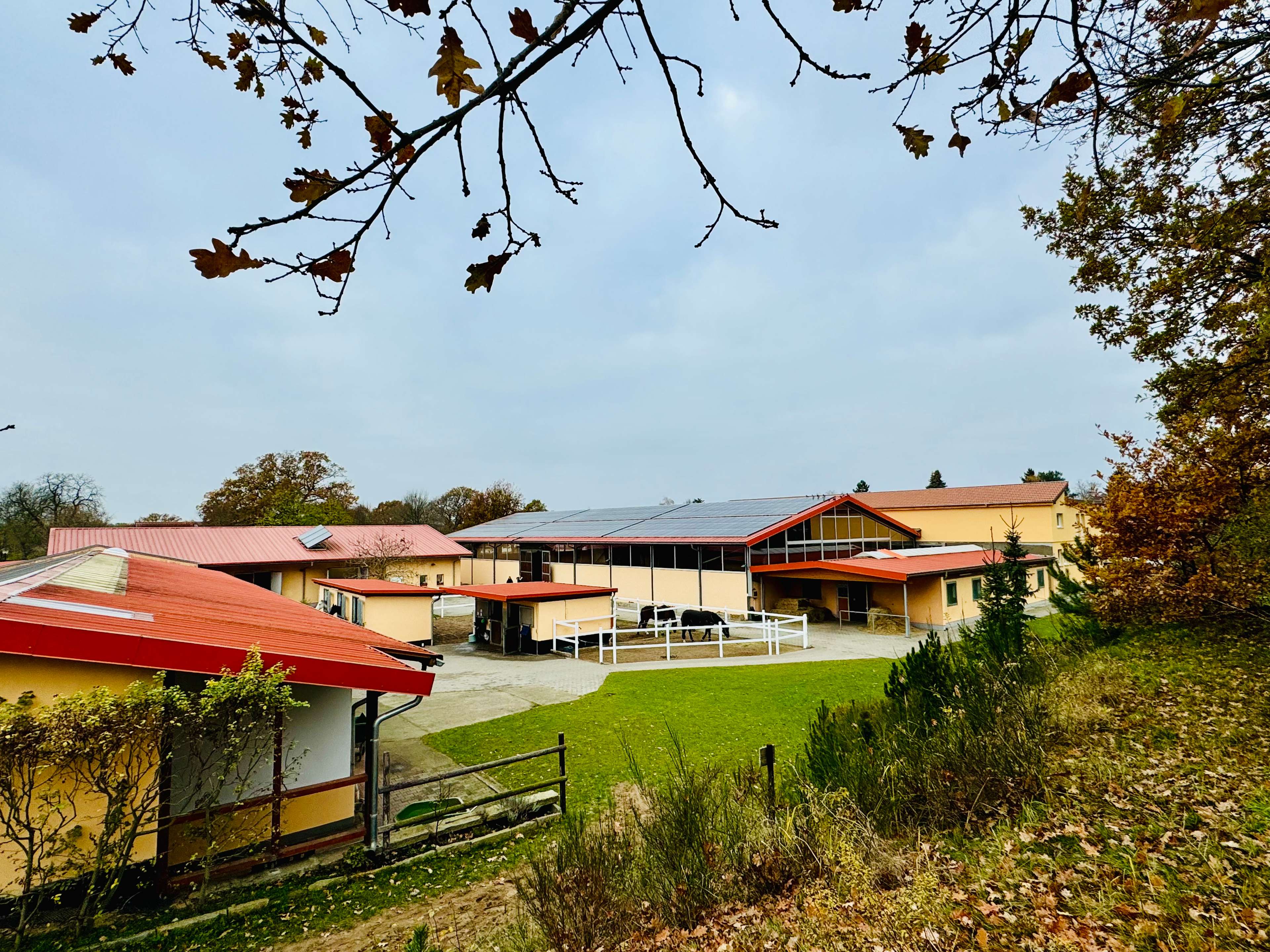 Ansicht 1 von Pferdeklinik Dallgow Altano