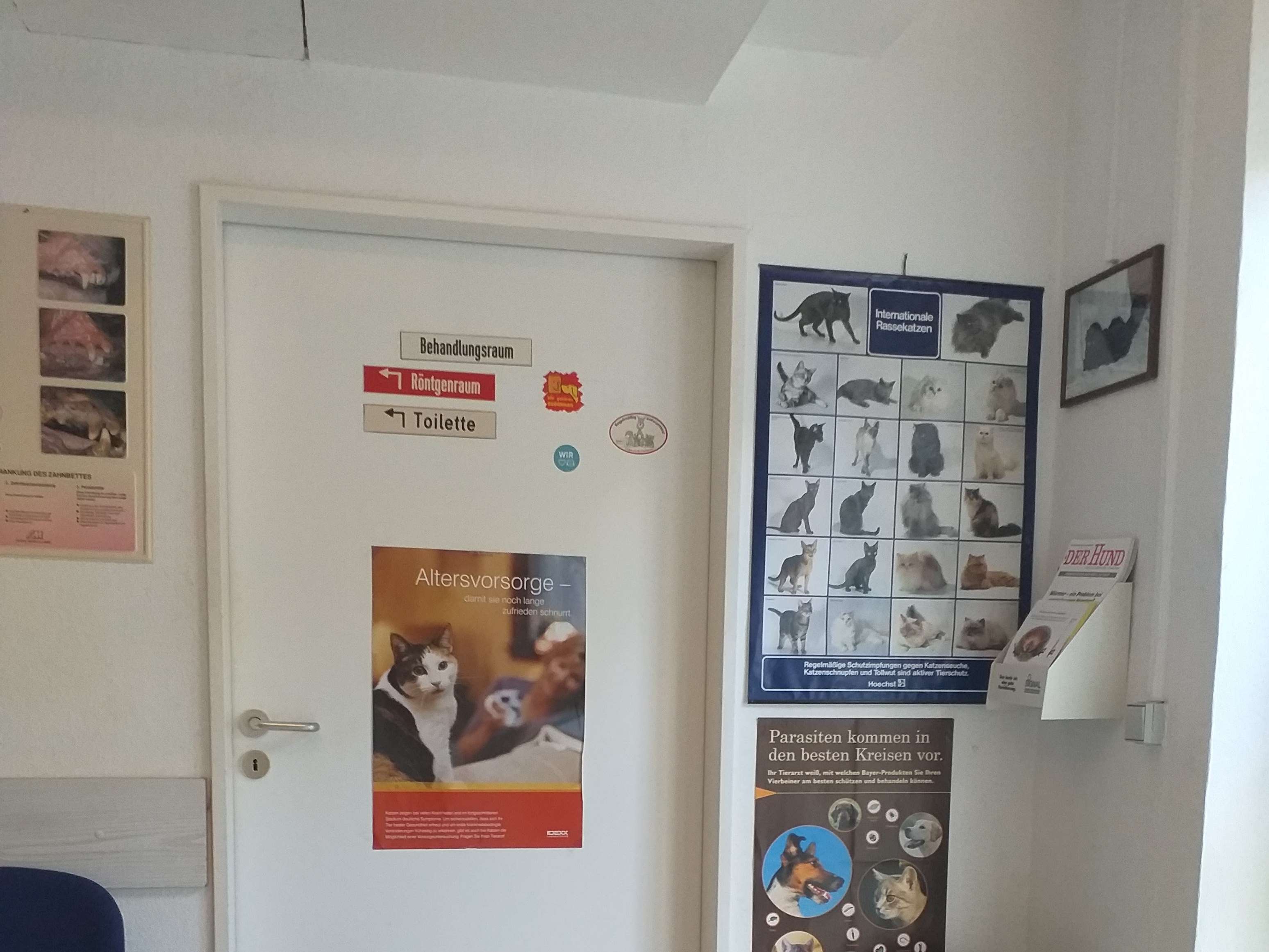 Ansicht 1 von Kleintierpraxis Katrin Laabs