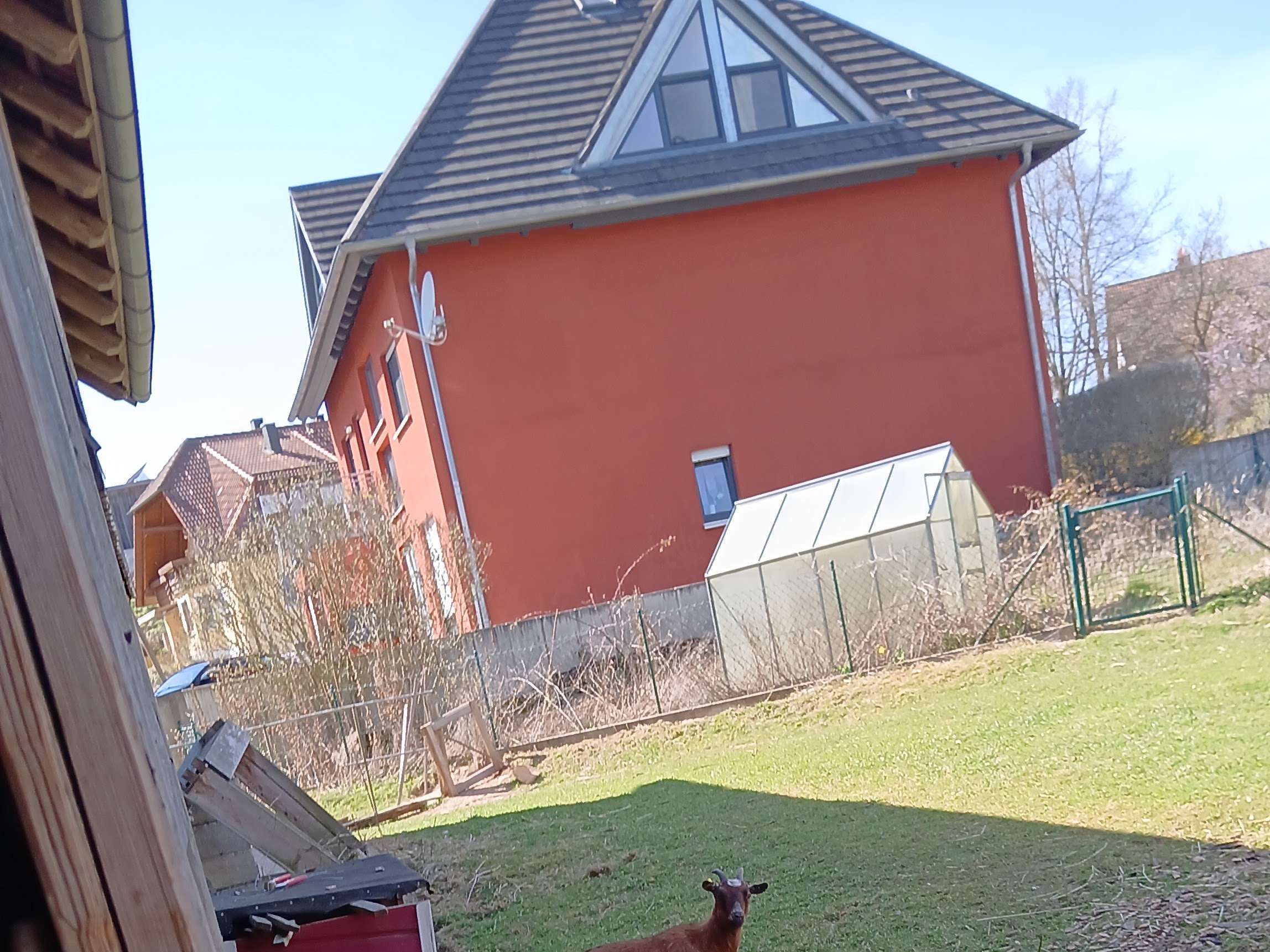 Ansicht 1 von Tierärztliche Gemeinschaftspraxis Rost Rudolf & Zeis Peter