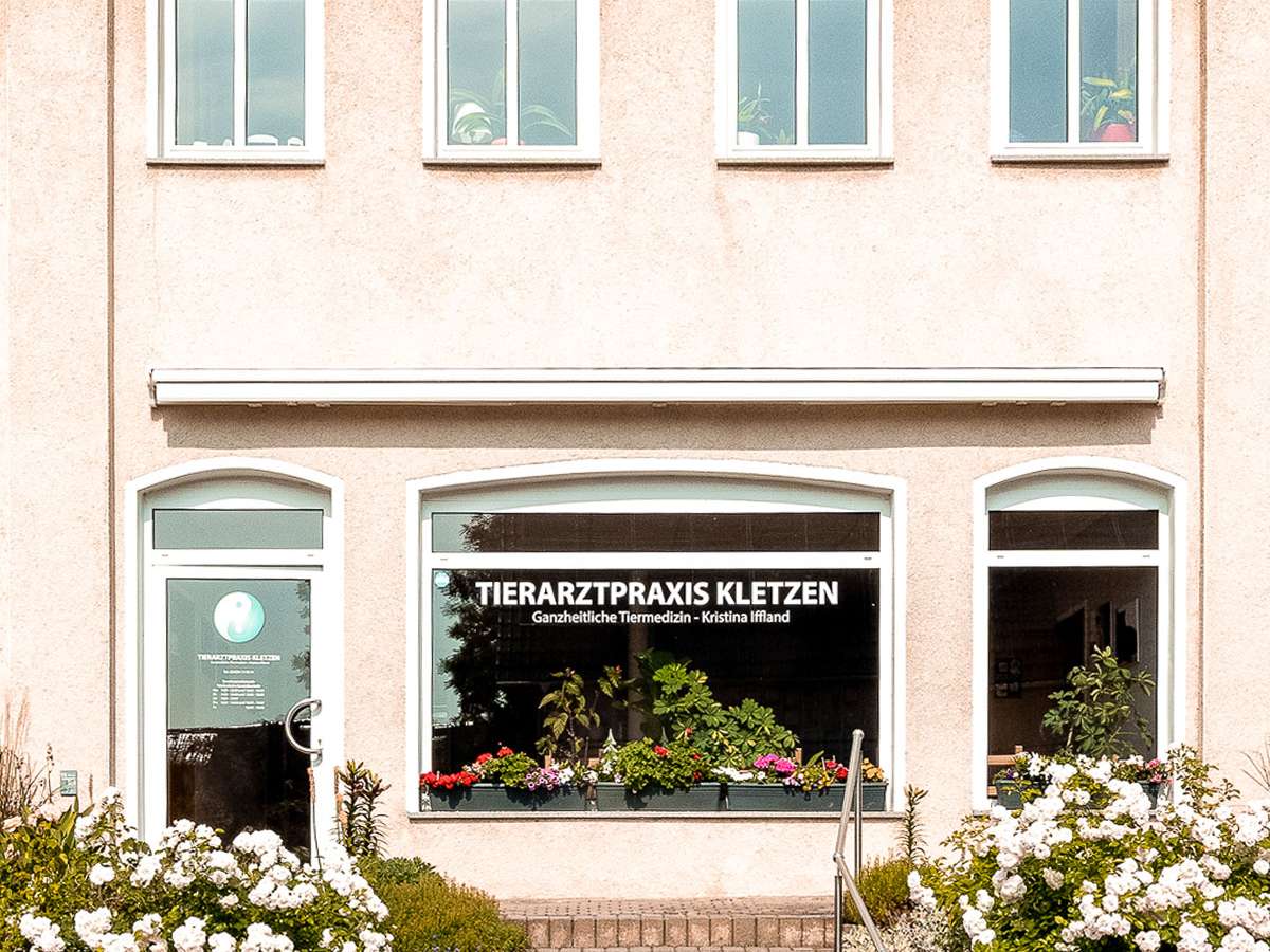 View 2 of Tierarztpraxis Kletzen Kristina Iffland
