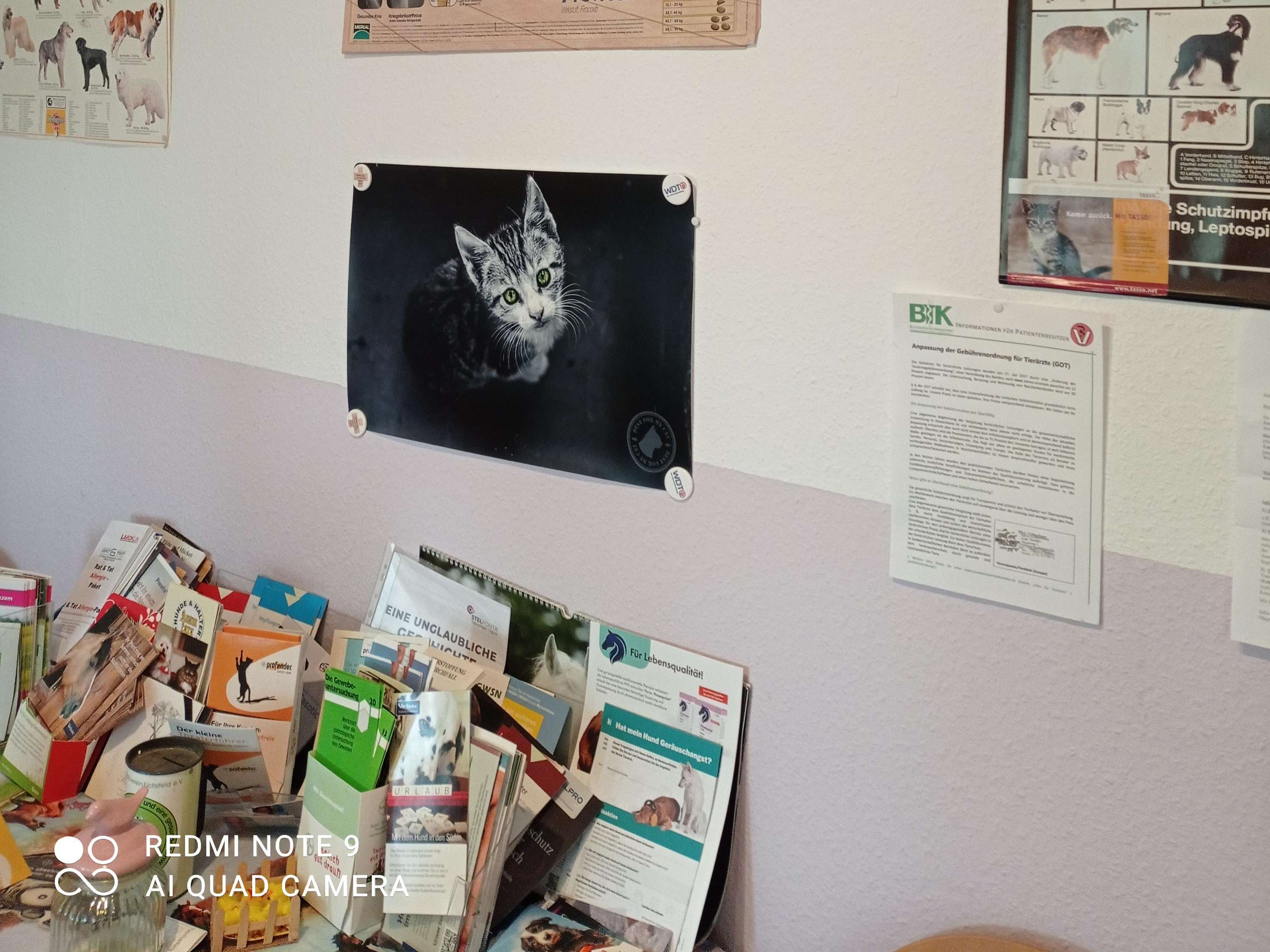 Ansicht 4 von Silvia Lichtenberg Tierärztin