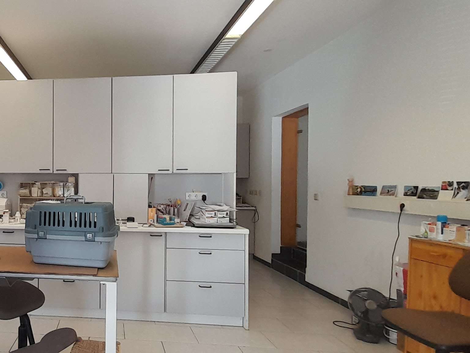 Ansicht 2 von Dr.med.vet. Osvair Escorsin Tierarzt