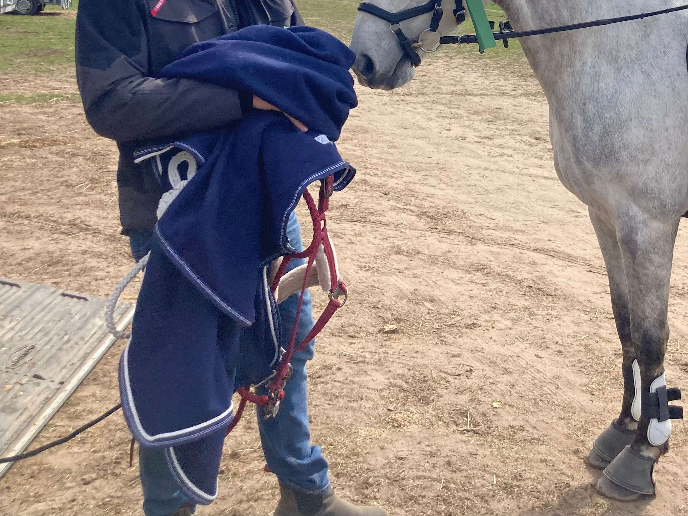 Ansicht 3 von Tierarzt Praxis Eckard Bauer, Fahrpraxis Pferde/Großtiere