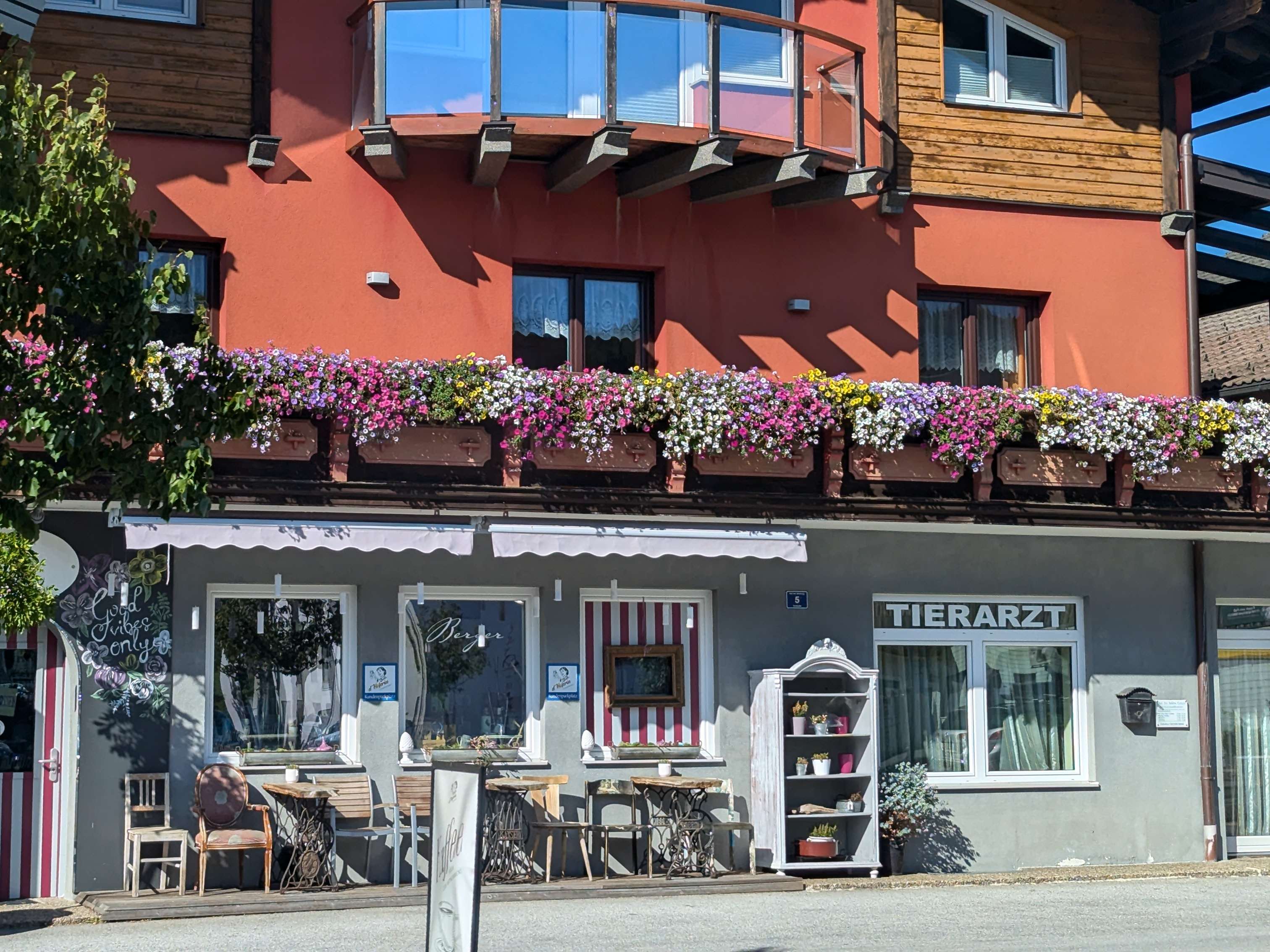 Ansicht 2 von Tierarzt