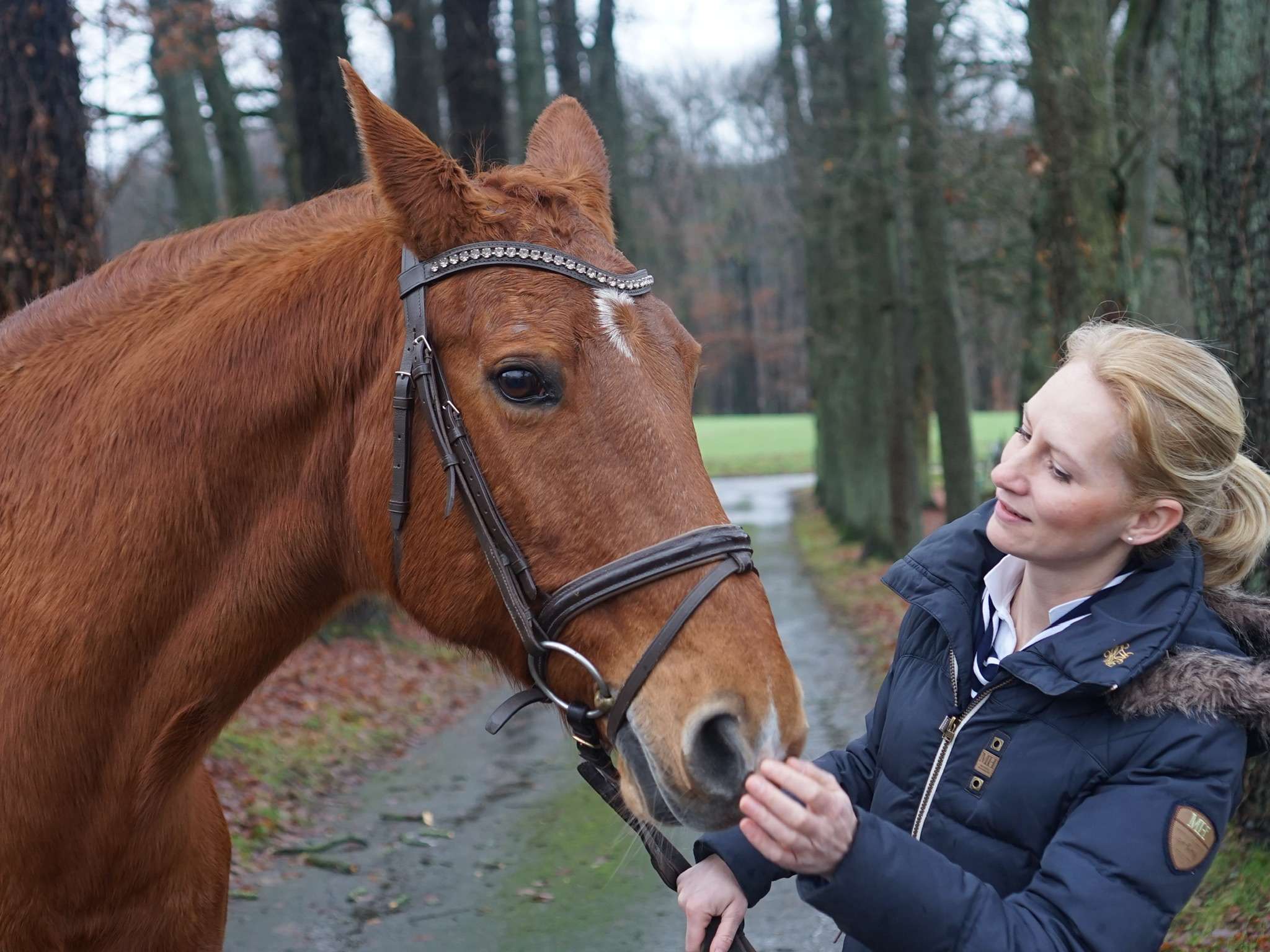 Ansicht 2 von Tierärztliche Praxis für Pferde Dr. Susanne Ihmels