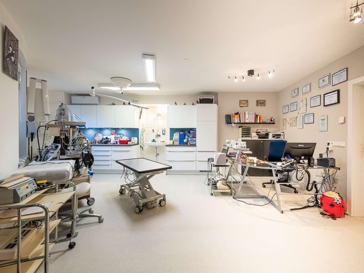 Ansicht 2 von Tierarztpraxis u. Dentalzentrum Alland Dr Nicole Grünwald