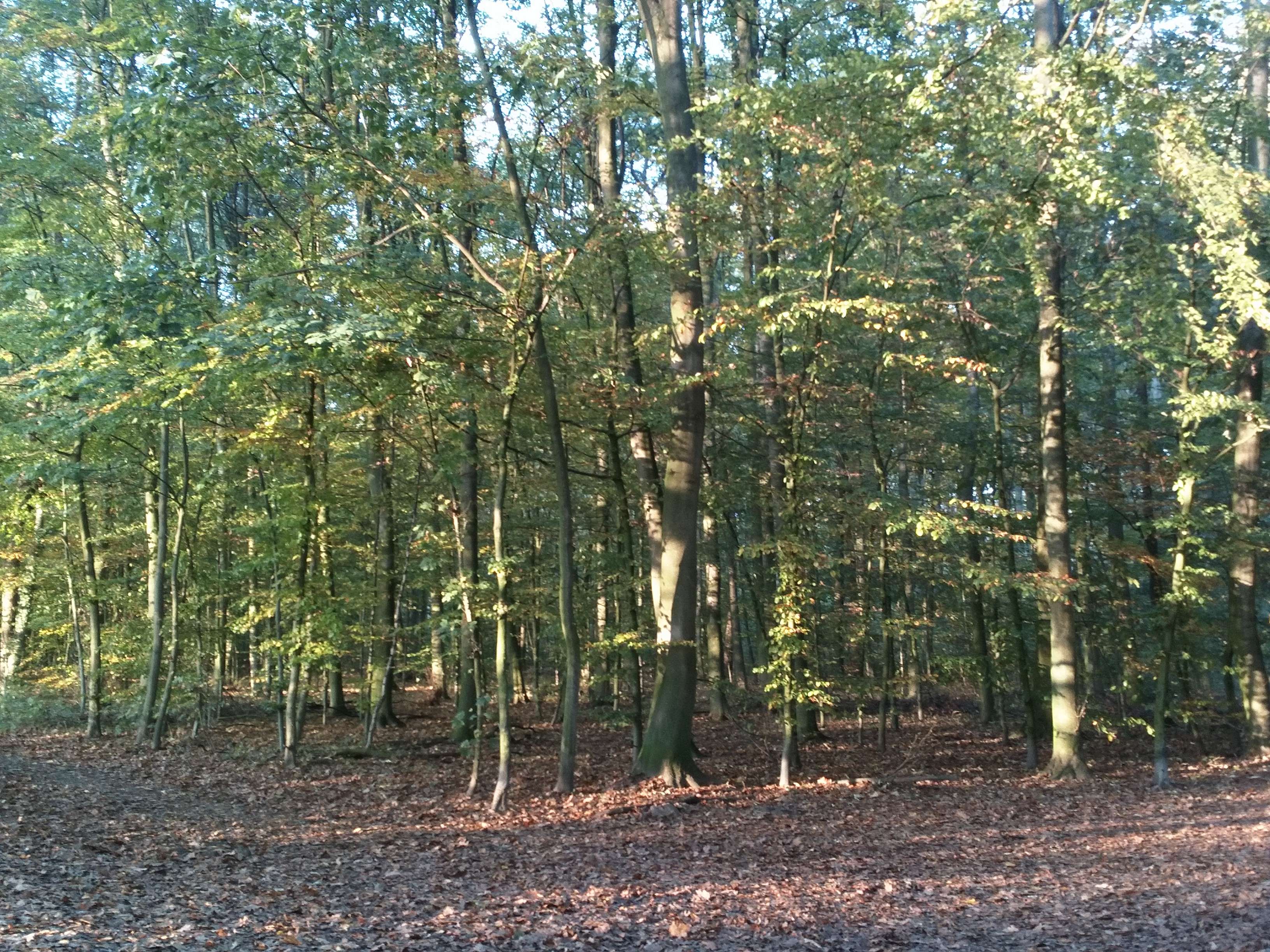 View 3 of Dr. Alexandra Feichtenschlager Tierärztin