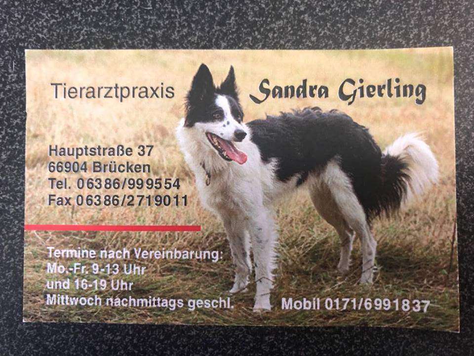 View 1 of Sandra Gierling Tierärztin