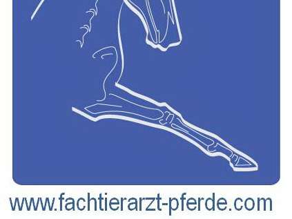 Ansicht 2 von Fachtierärztliche Praxis für Pferde Hörmann