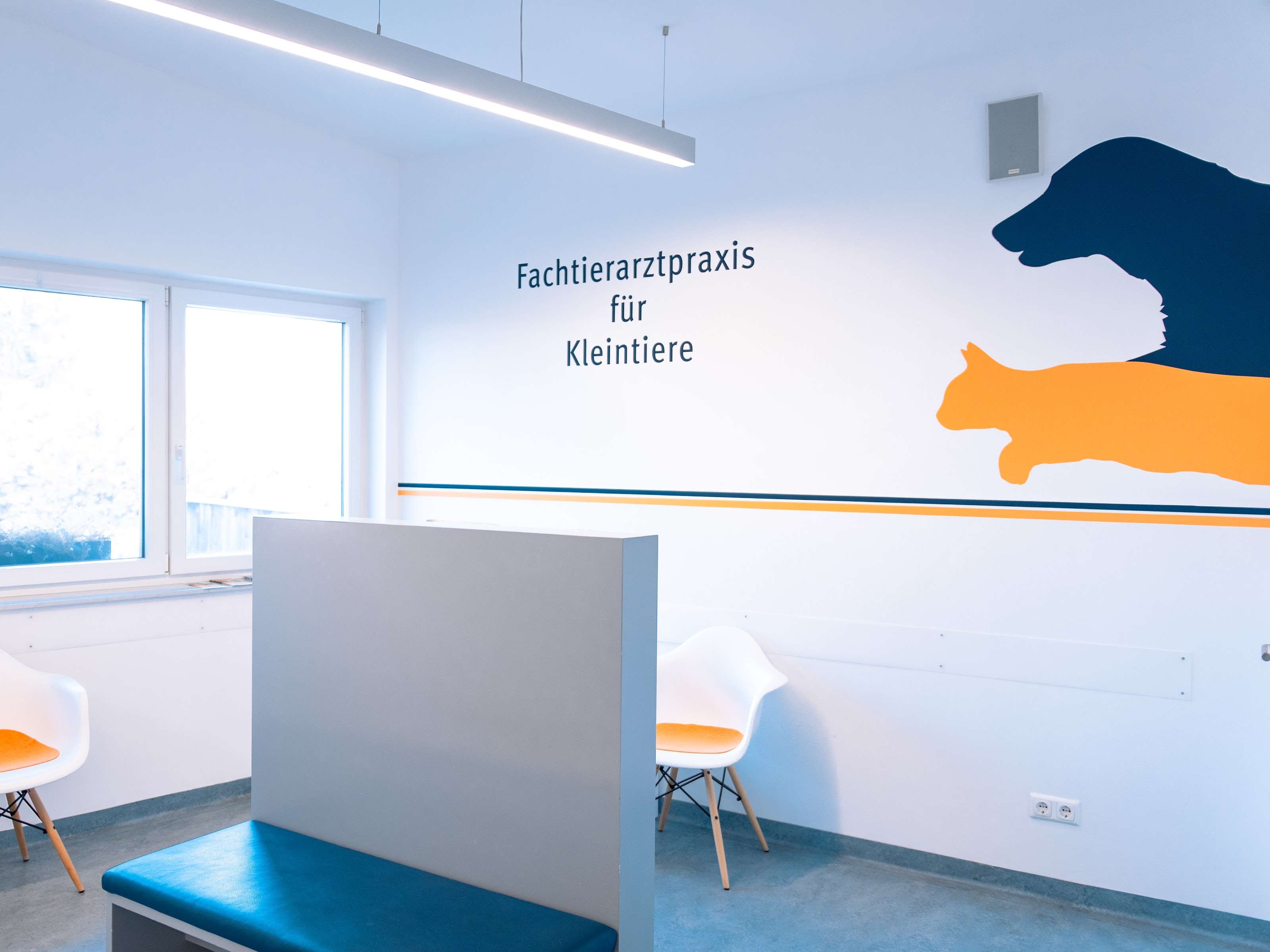 Ansicht 3 von Tierarztpraxis Bahnstraße Wolkersdorf Fachtierarzt für Kleintiere