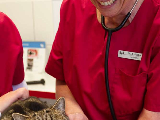 Ansicht 1 von Kleintierpraxis Dr. Durka, Tätigkeitsschwerpunkt Katzenmedizin