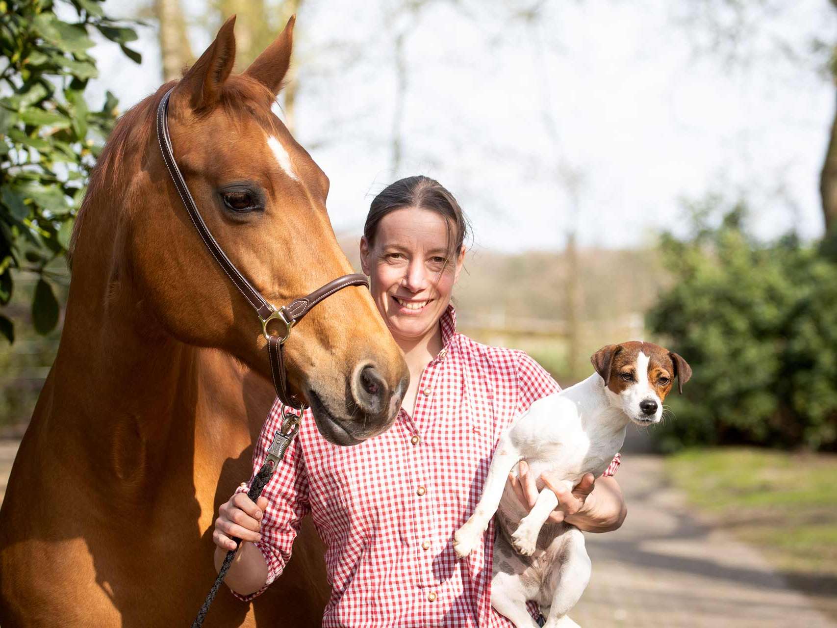 View 1 of Chiropraxis für Pferde und Hunde Dr. Saskia Walther