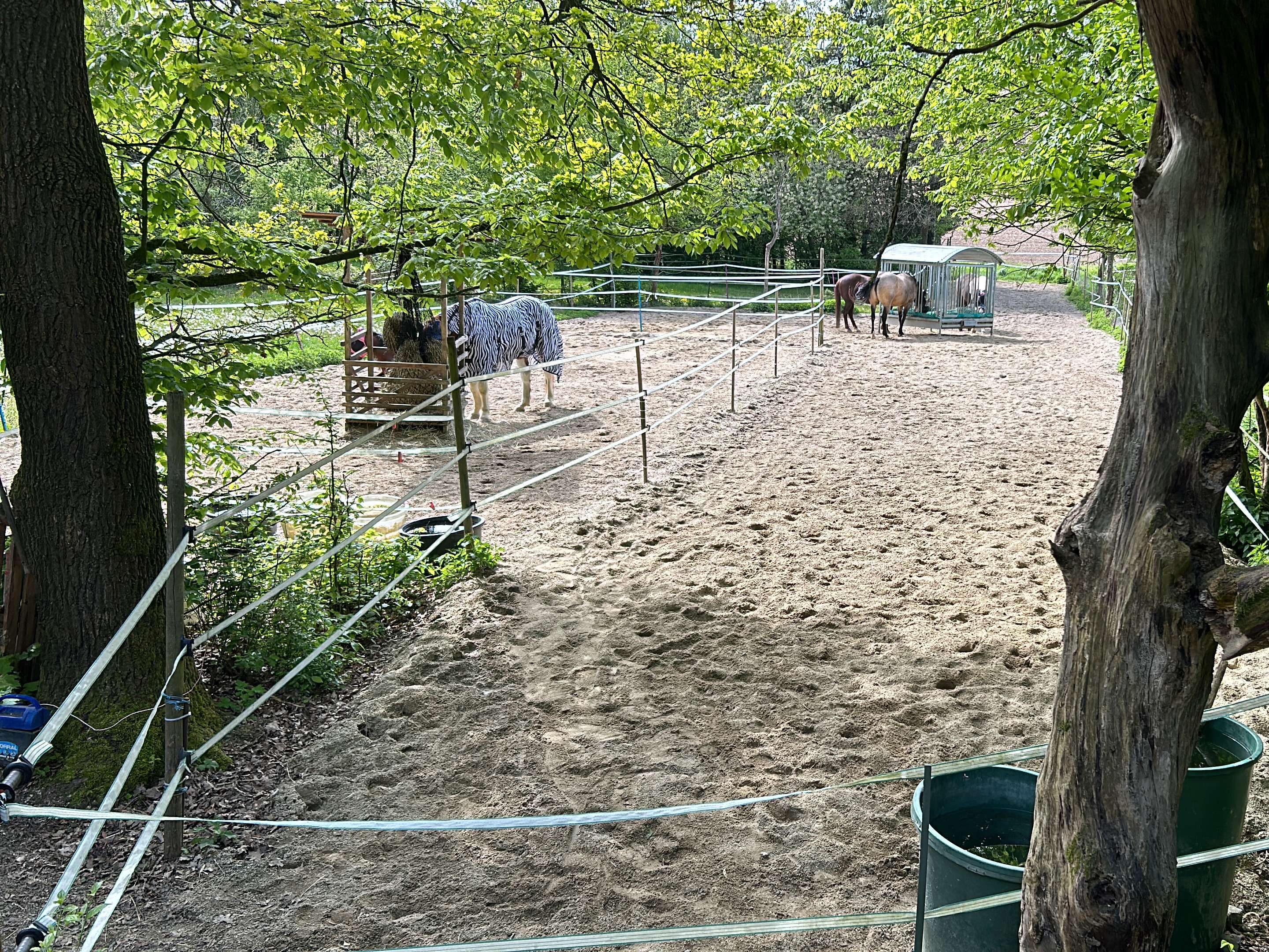 Ansicht 2 von Tierklinik Schierling