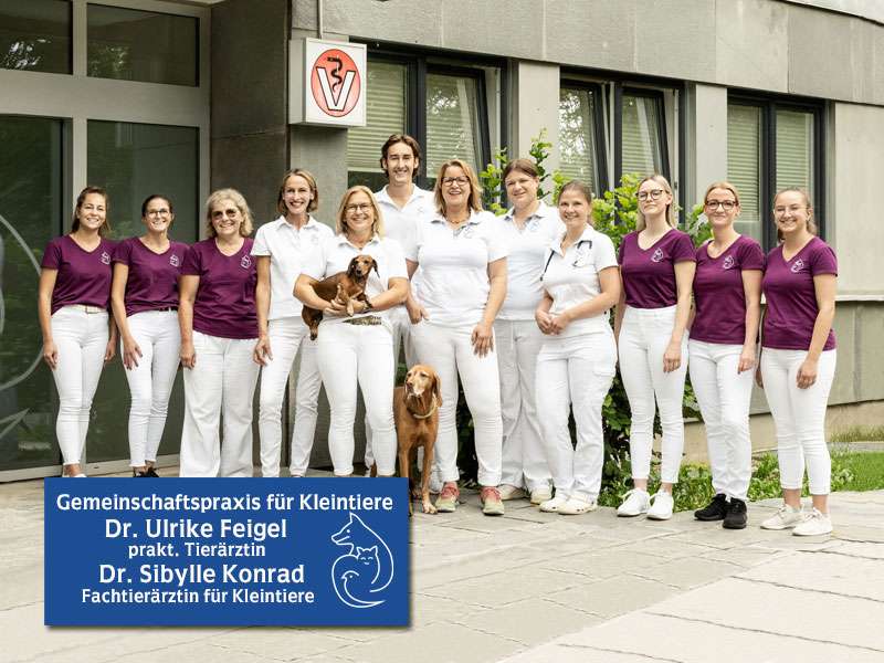 Ansicht 1 von Tierärzte IVC Evidensia GmbH Tierärztezentrum Landshut