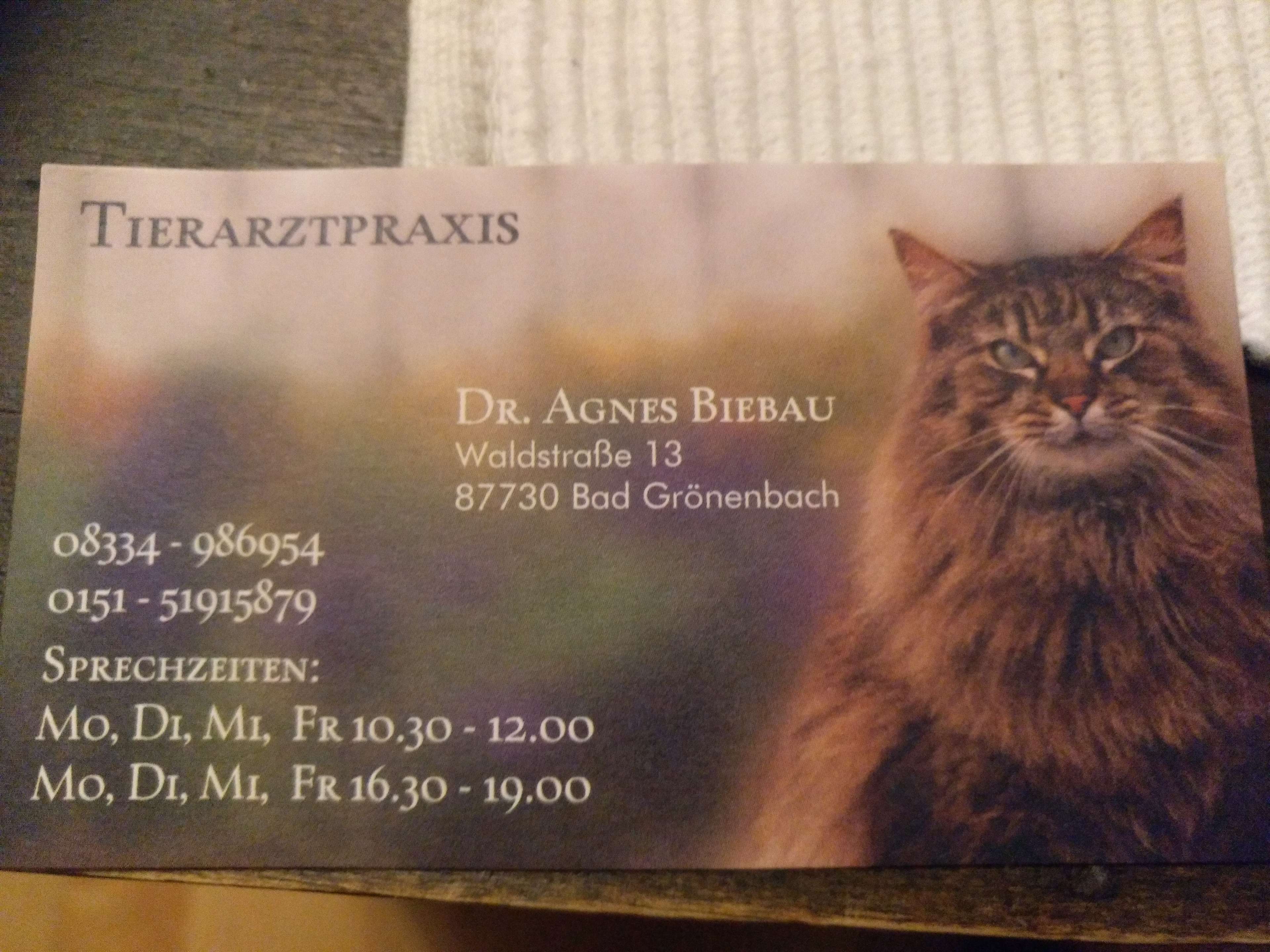 Ansicht 1 von Dr. Biebau Agnes