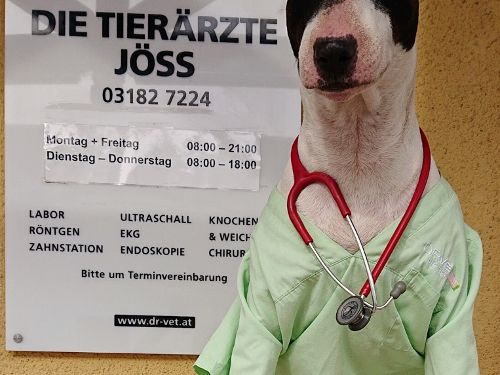 Ansicht 2 von PFI DR. VET - Die Tierärzte OG