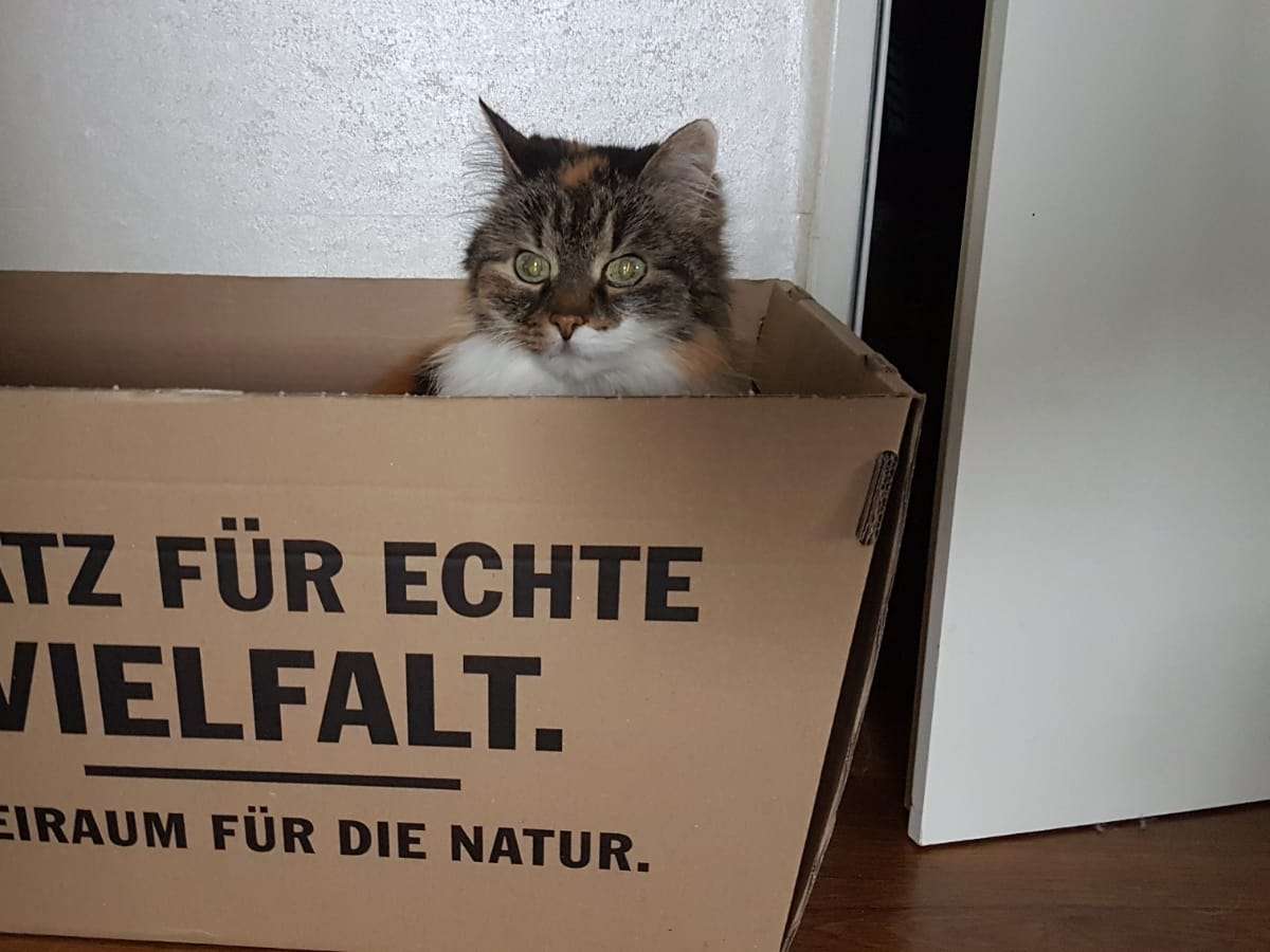 Ansicht 2 von Dr.med.vet. Gaby von Cramm Tierärztin