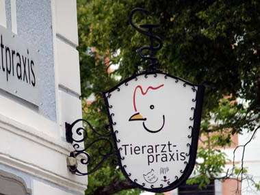 Ansicht 1 von VETWorks Seitenstetten - Mein Netzwerk für Tiergesundheit