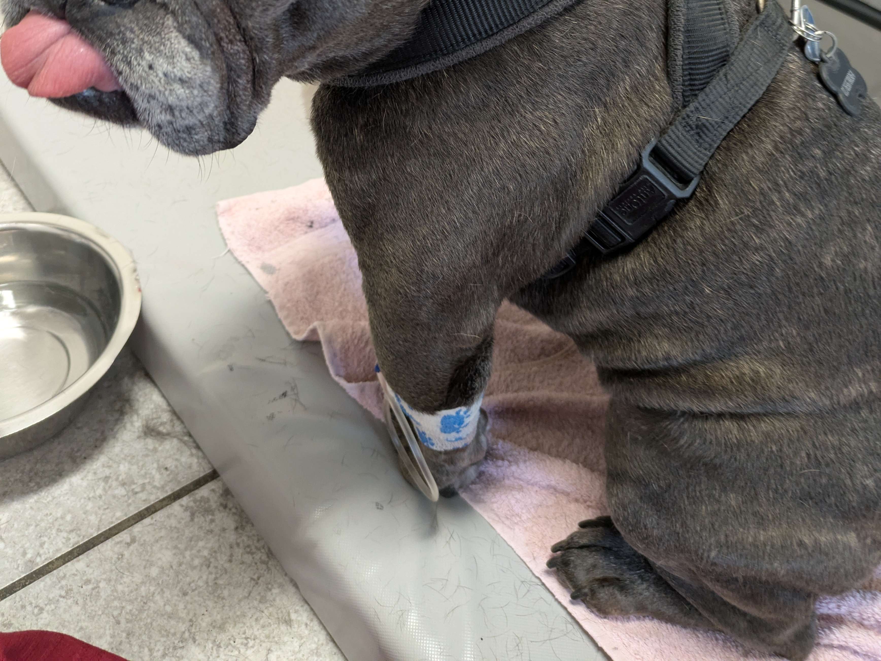 Ansicht 3 von Tierarzt Malsch