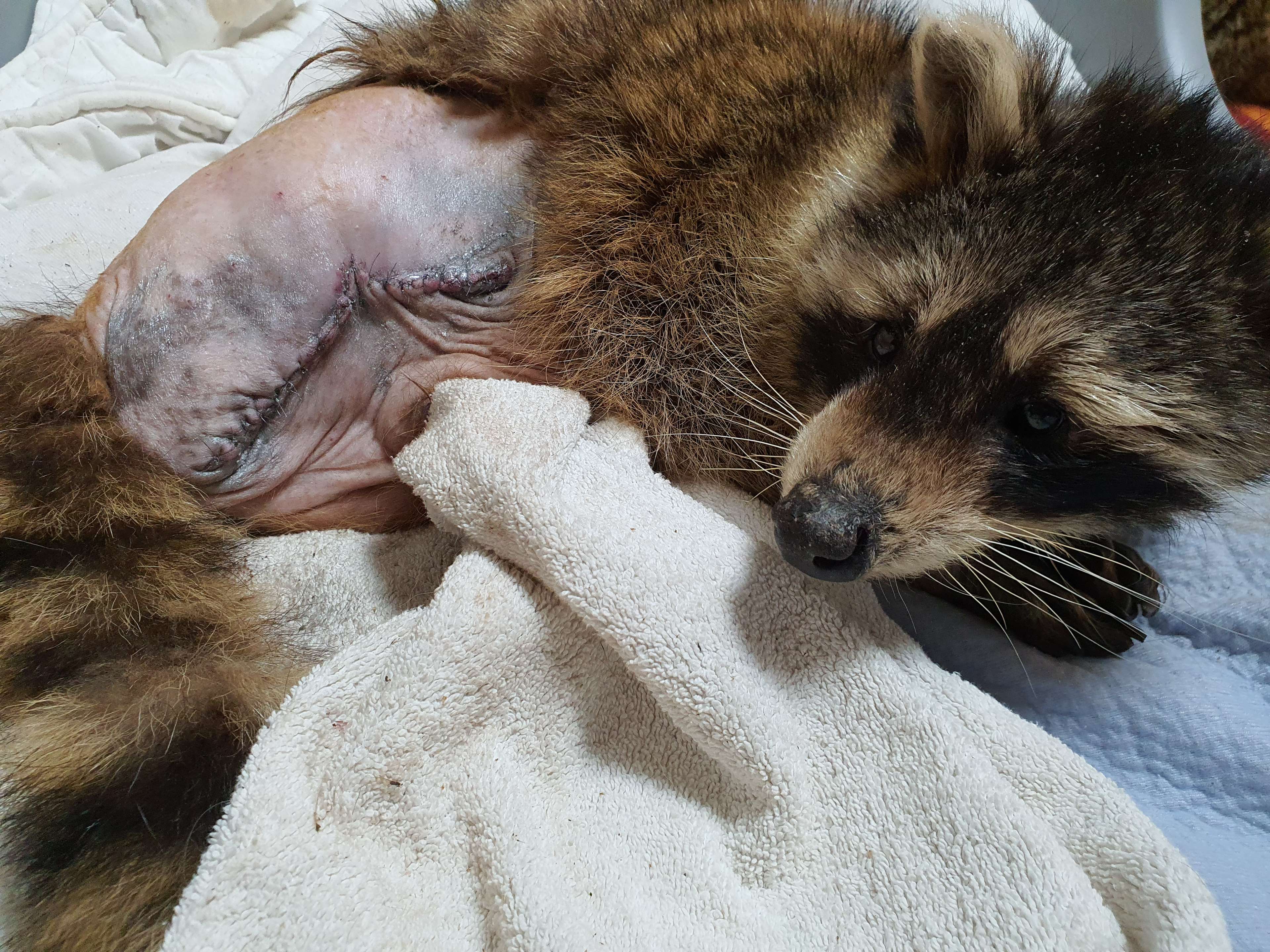 Ansicht 1 von Tierklinik Großmoor