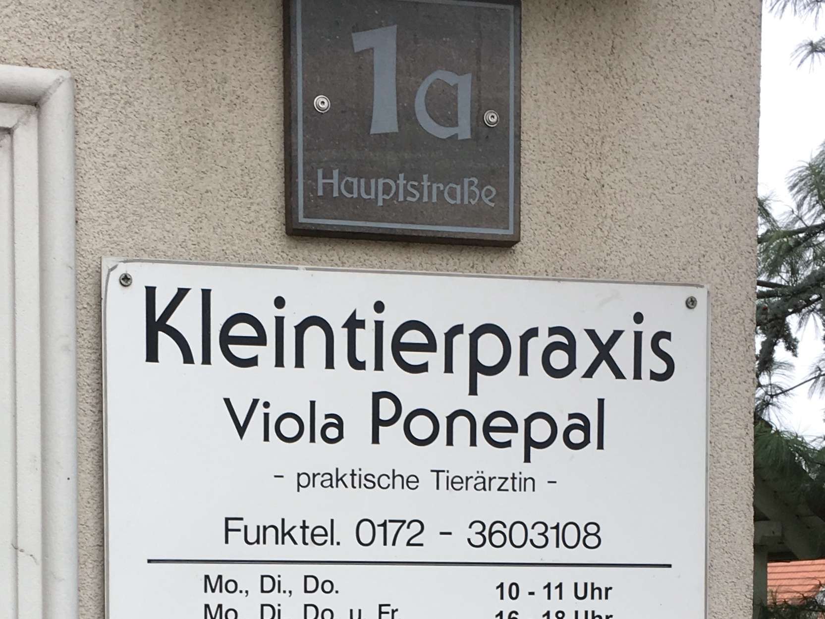 Ansicht 5 von Kleintierpraxis Ponepal