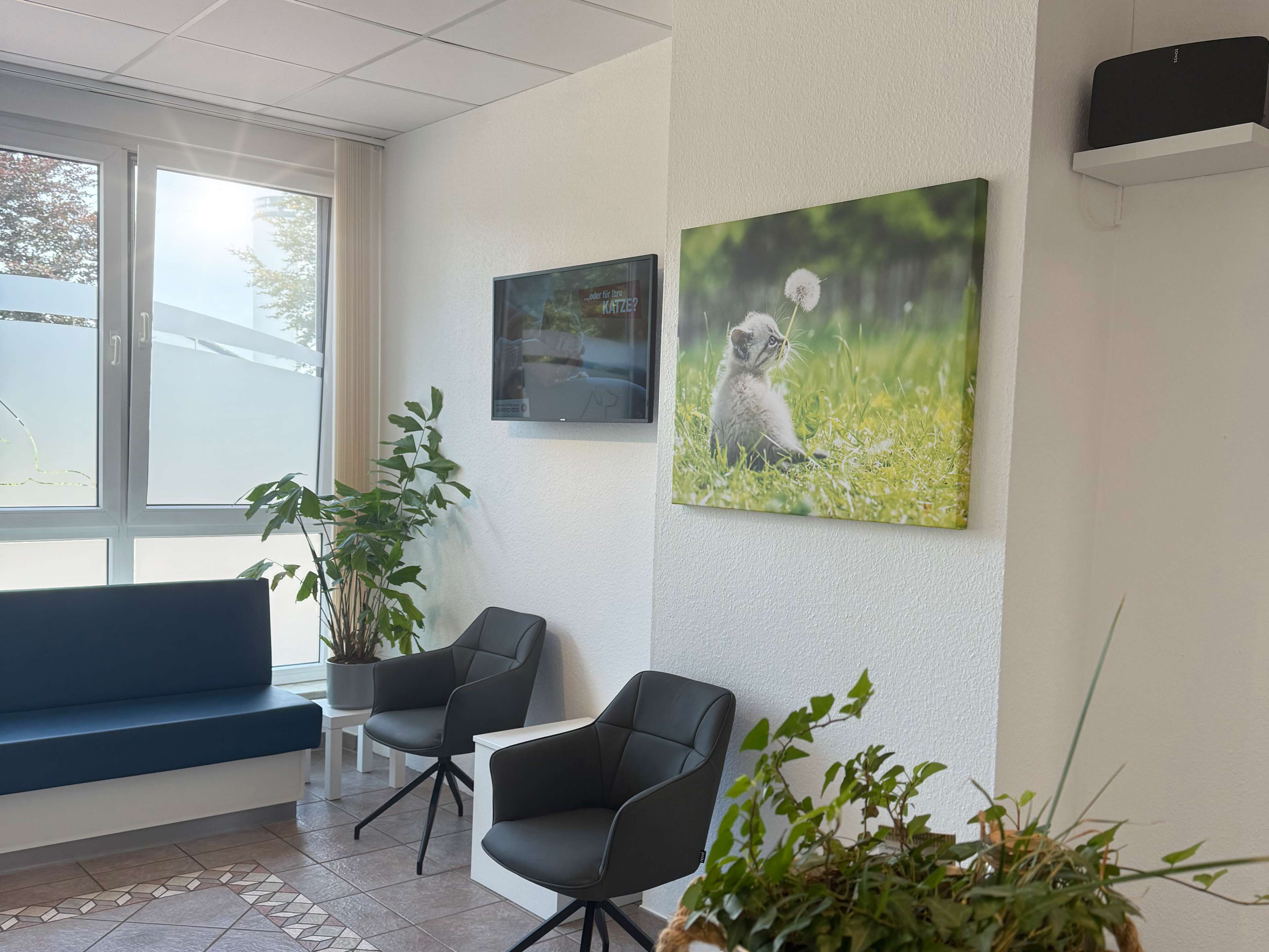 Ansicht 2 von Kleintierpraxis Zur alten Ems ⎮ Tiermedizin in der Region Rhede (Ems)