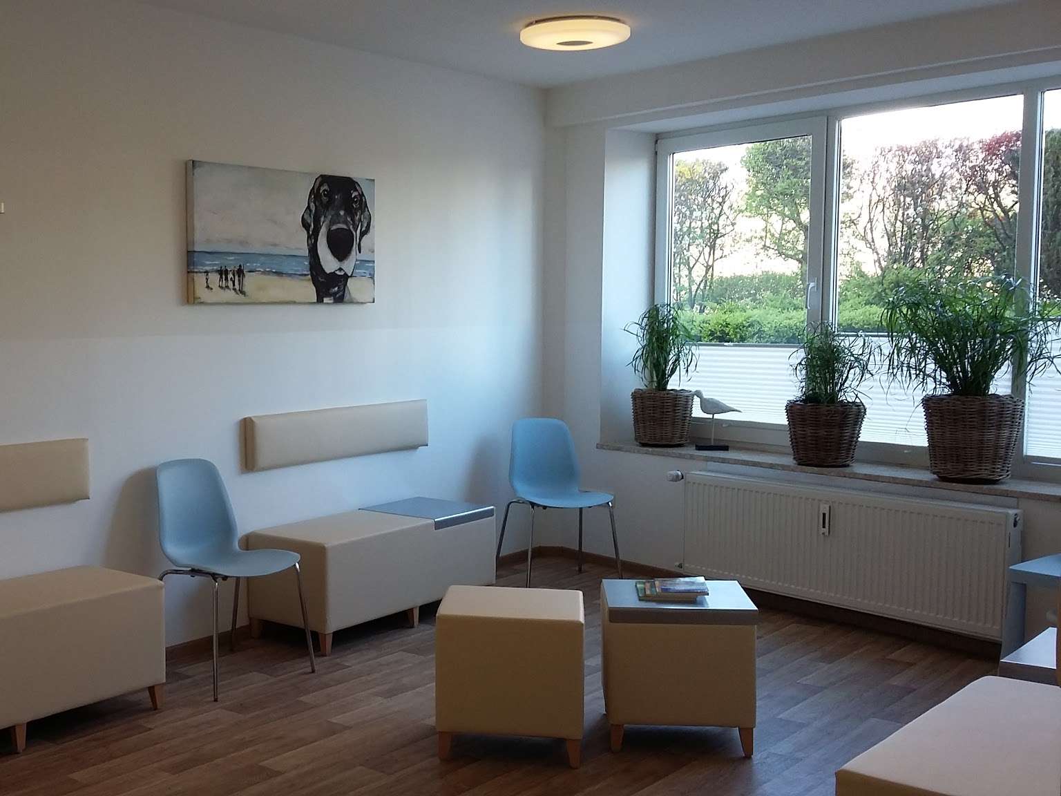 Ansicht 4 von Tiermedizin am Kurpark, Jablonski & Silkeit