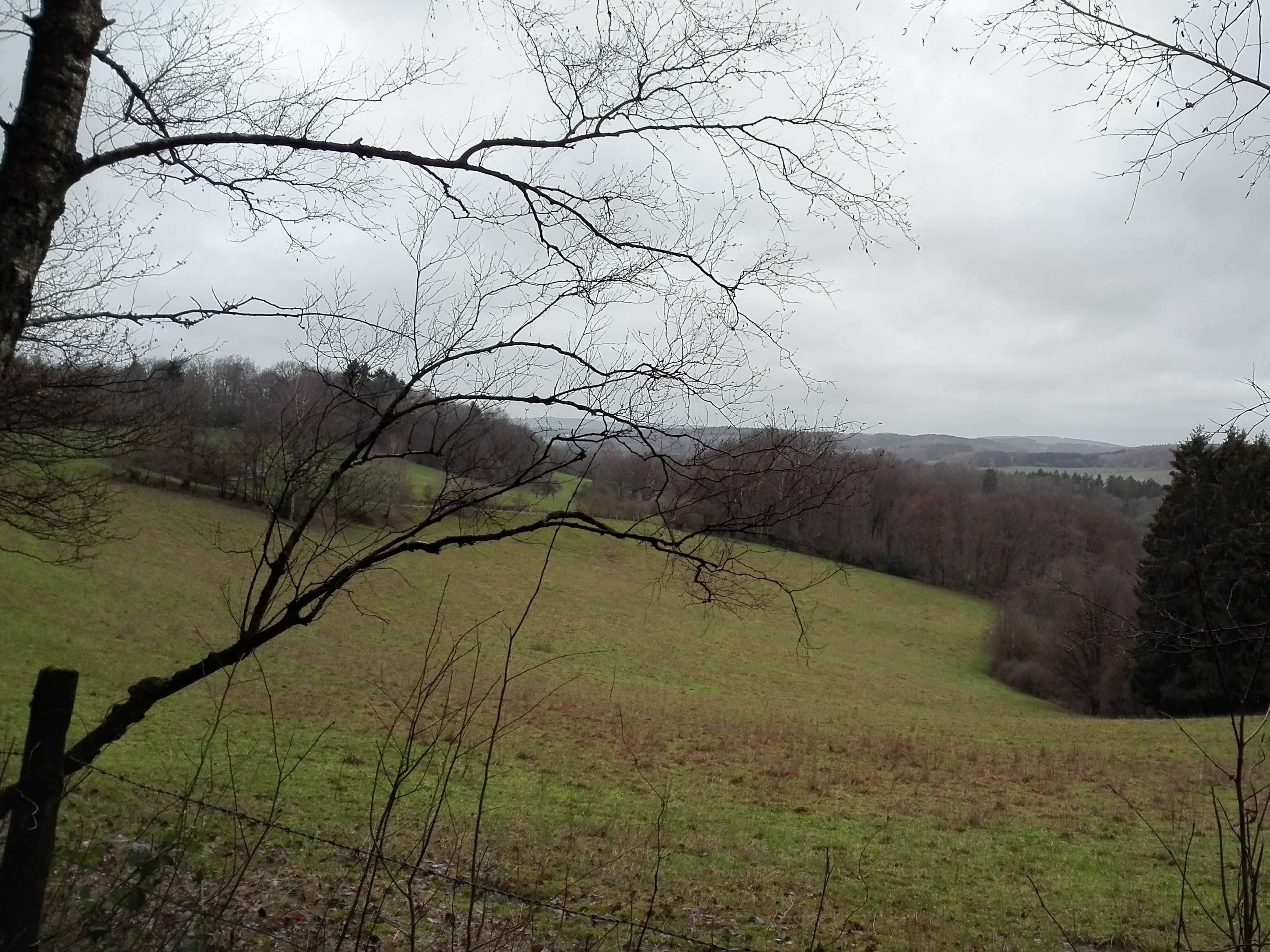 Ansicht 4 von Kleintierzentrum am Kurpark Nümbrecht