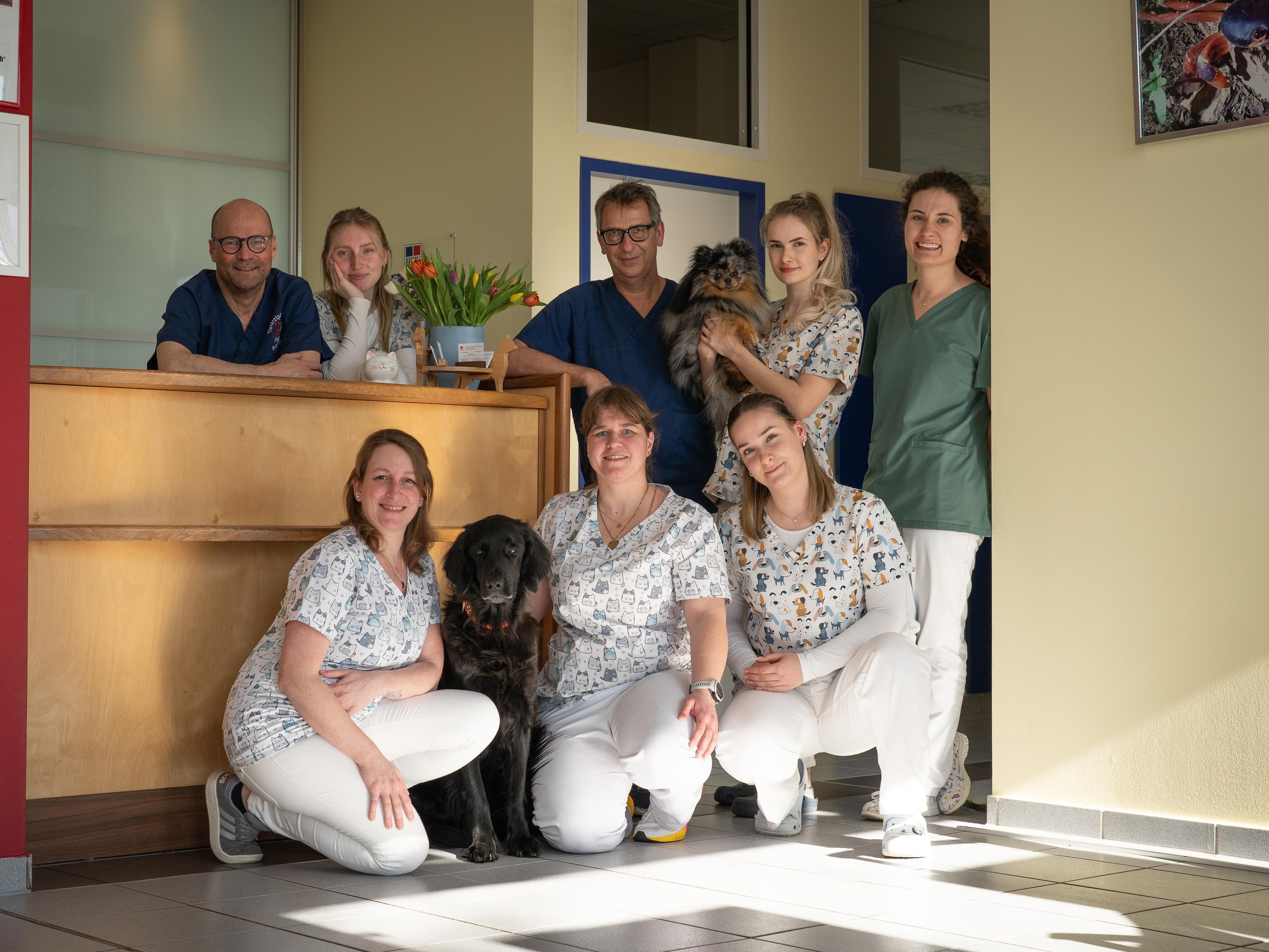 Ansicht 3 von Dr. Buttgereit & Dr. Muche - Tierärztliche Gemeinschaftspraxis für kleine Haustiere