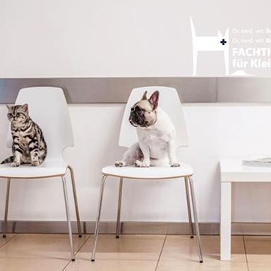 Preview of Tierärztliche Gemeinschaftspraxis für Kleintiere - Dr. Astner und Dr. Neumaier