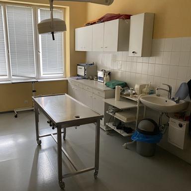 Vorschau von Janowski-Gastl Stephanie Dr.med.vet. Tierarzt