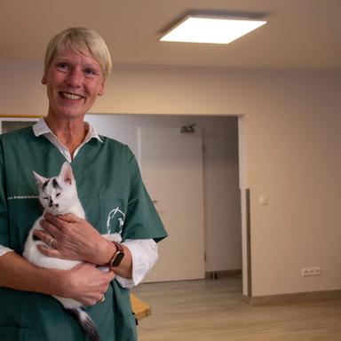 Preview of Kleintierpraxis Emmerthal – Dr. med. vet. Petra Kopperschmidt