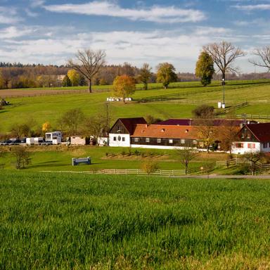 Preview of Tierärztliches Zentrum für Pferde in Kirchheim Altano GmbH