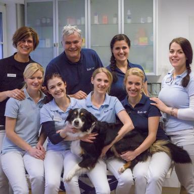 Vorschau von Dr. med. vet. Martin Zahner Tierarzt