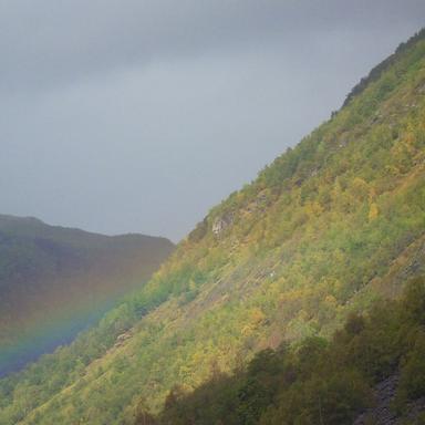 Preview of Der Bergtierarzt