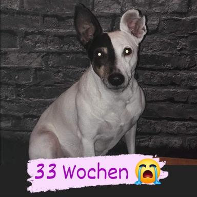 Vorschau von Tierarztpraxis Feldmeyer