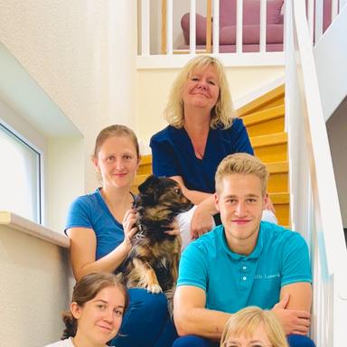 Vorschau von Tierarztpraxis Nora Wickidal