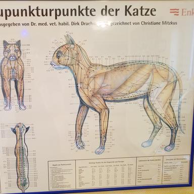 Vorschau von Stefanie Heide-Röller Tierärztin