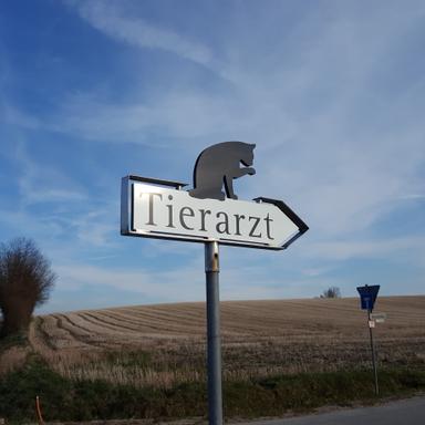 Vorschau von Tierarzt Dr. Anita Kotter