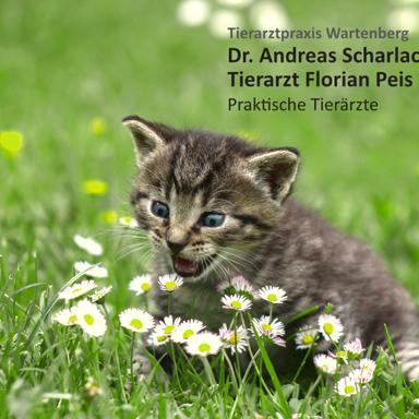 Preview of Dr. Andreas Scharlach / TA Florian Peis Tierarztpraxis Wartenberg